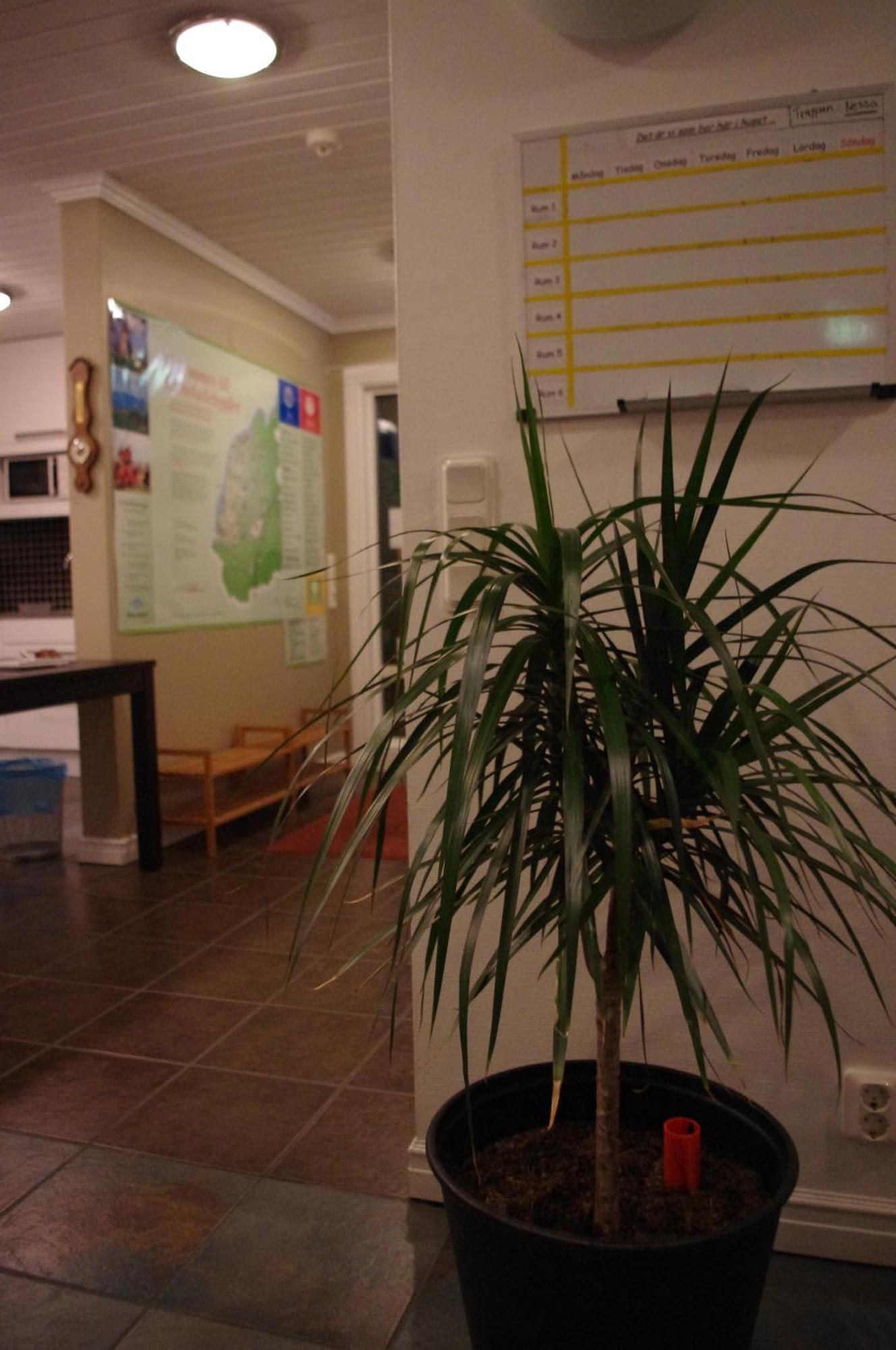 Aeventyrsgardens Vandrarhem, Kinnekulle Kallby Екстер'єр фото